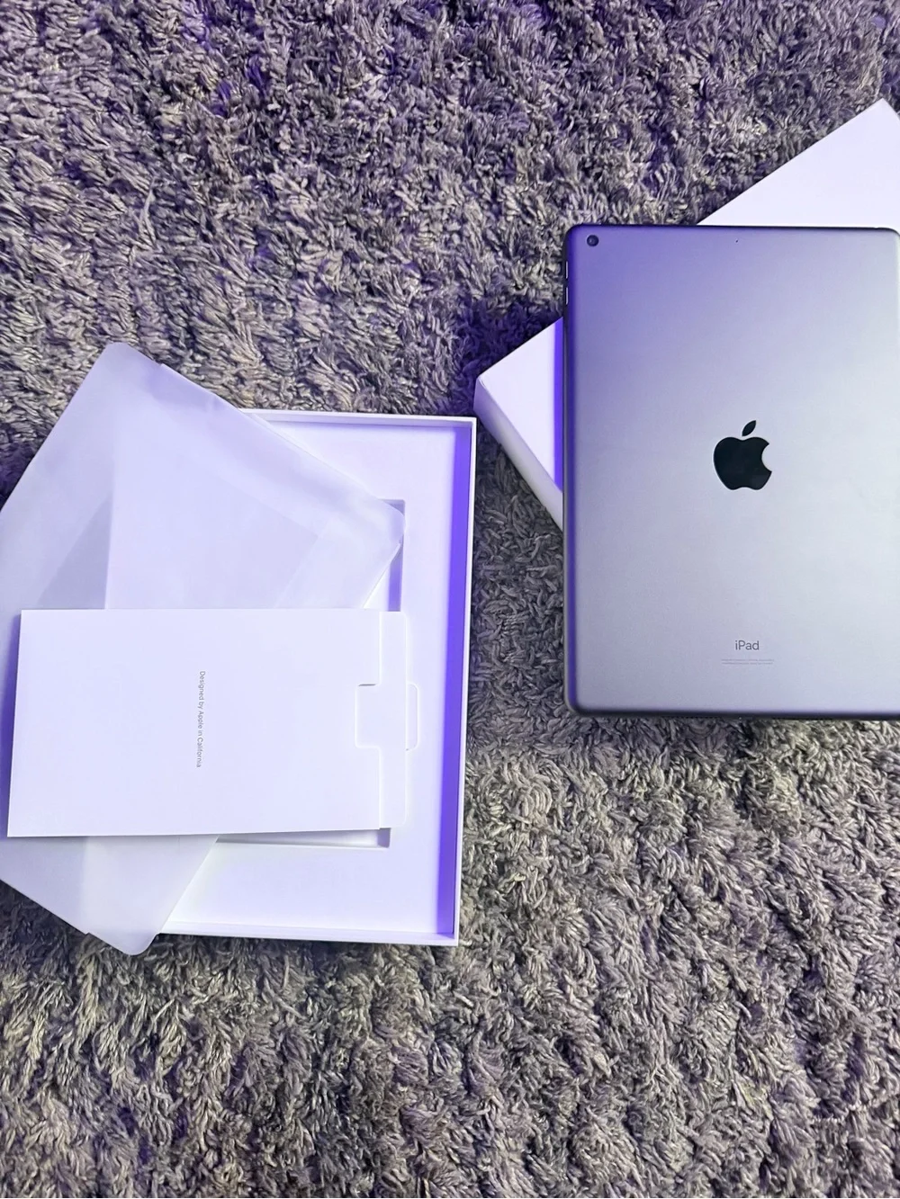 9th Gen Apple IPad